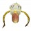 Paphiopedilum stonei