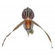 Paphiopedilum Bel Royal