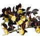 Catasetum tenebrosum