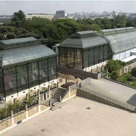Expo orchidées Museum d'Histoire Naturelle de Paris