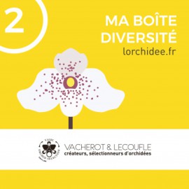 Ma Boîte Diversité