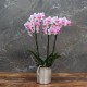 Cache-pot orchidée "New York" métal PLATINE effet brossé ø12 cm