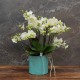 Cache-pot orchidée "Miami" métal TURQUOISE effet brossé ø15 cm
