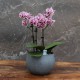 Cache-pot orchidée "Bolivie" métal BLEU CIEL effet brossé ø12 cm