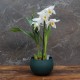 Cache-pot orchidée "Bolivie" métal BLEU CANARD effet brossé ø12 cm