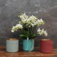 Cache-pot orchidée "Miami" métal effet brossé ø15 cm