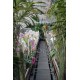 Portes ouvertes Orchidées Vacherot et Lecoufle