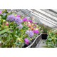 Portes ouvertes Orchidées Vacherot et Lecoufle