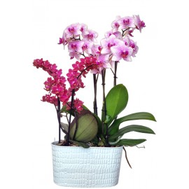 Cache-pot orchidée duo "Croco" métal blanc