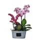 Cache-pot orchidée duo effet "Zinc"