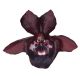 Catasetum Alexa