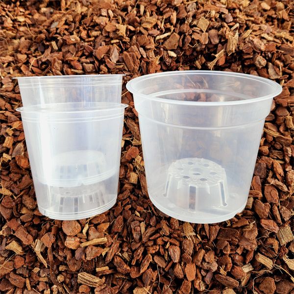 Mélange de rempotage (1 sac + 3 pots transparents)