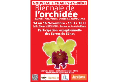 2025-11-14  Biennale d'Orchidées à Chailly en Bière (77)