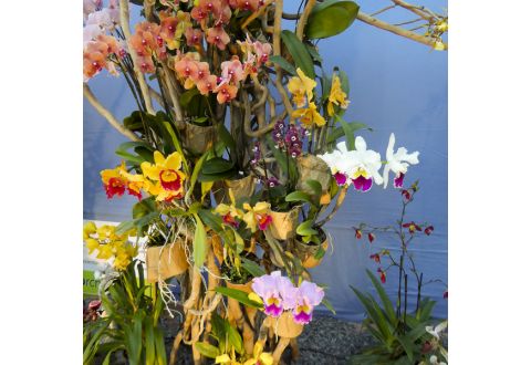 2025-12-10 Noël à Boissy