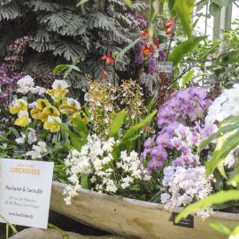 2026-10-10 Journées des Plantes & Art du Jardin