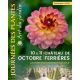2026-10-10 Journées des Plantes & Art du Jardin