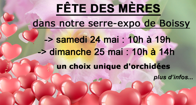 Fête des Mères Orchidées Vacherot & Lecoufle