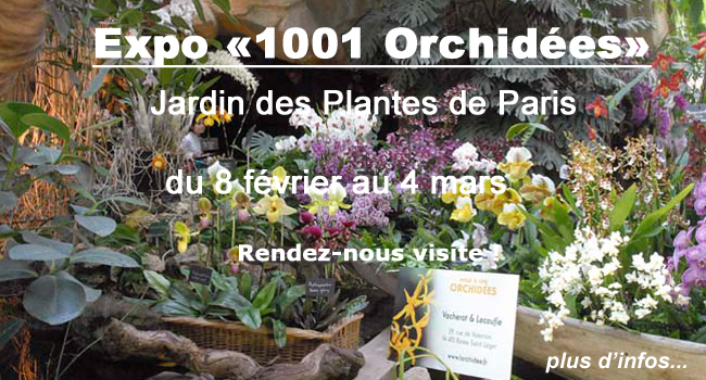 Expo Orchidées Museum Paris