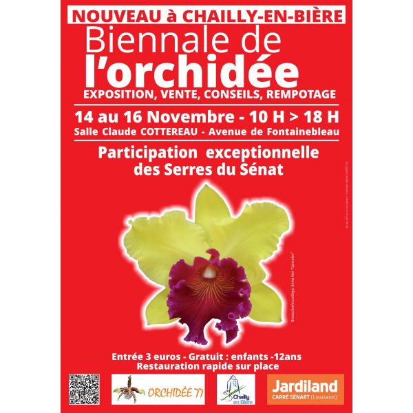 2025-11-14  Biennale d'Orchidées à Chailly en Bière (77)