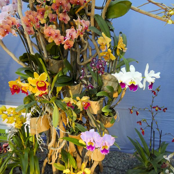 2025-12-10 Noël à Boissy