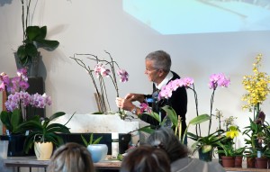 
			                        			Atelier culture orchidées de Philippe Lecoufle