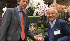 Mars 2017 - Meilleur phalaenopsis hybride London Orchid Show